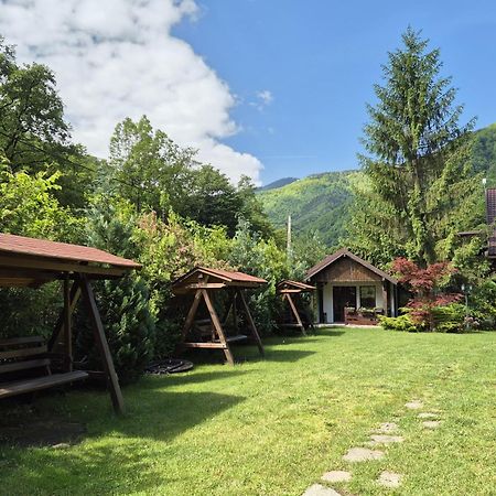 Pensiunea Dumbravita Otel Rîu de Mori Dış mekan fotoğraf