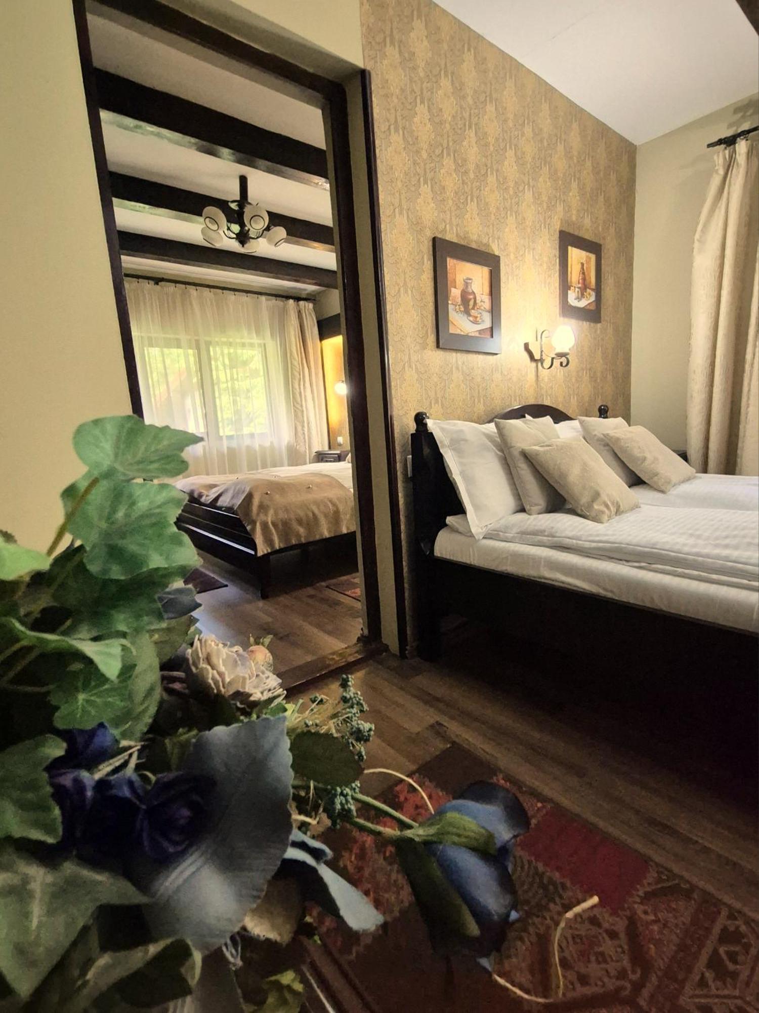 Pensiunea Dumbravita Otel Rîu de Mori Dış mekan fotoğraf