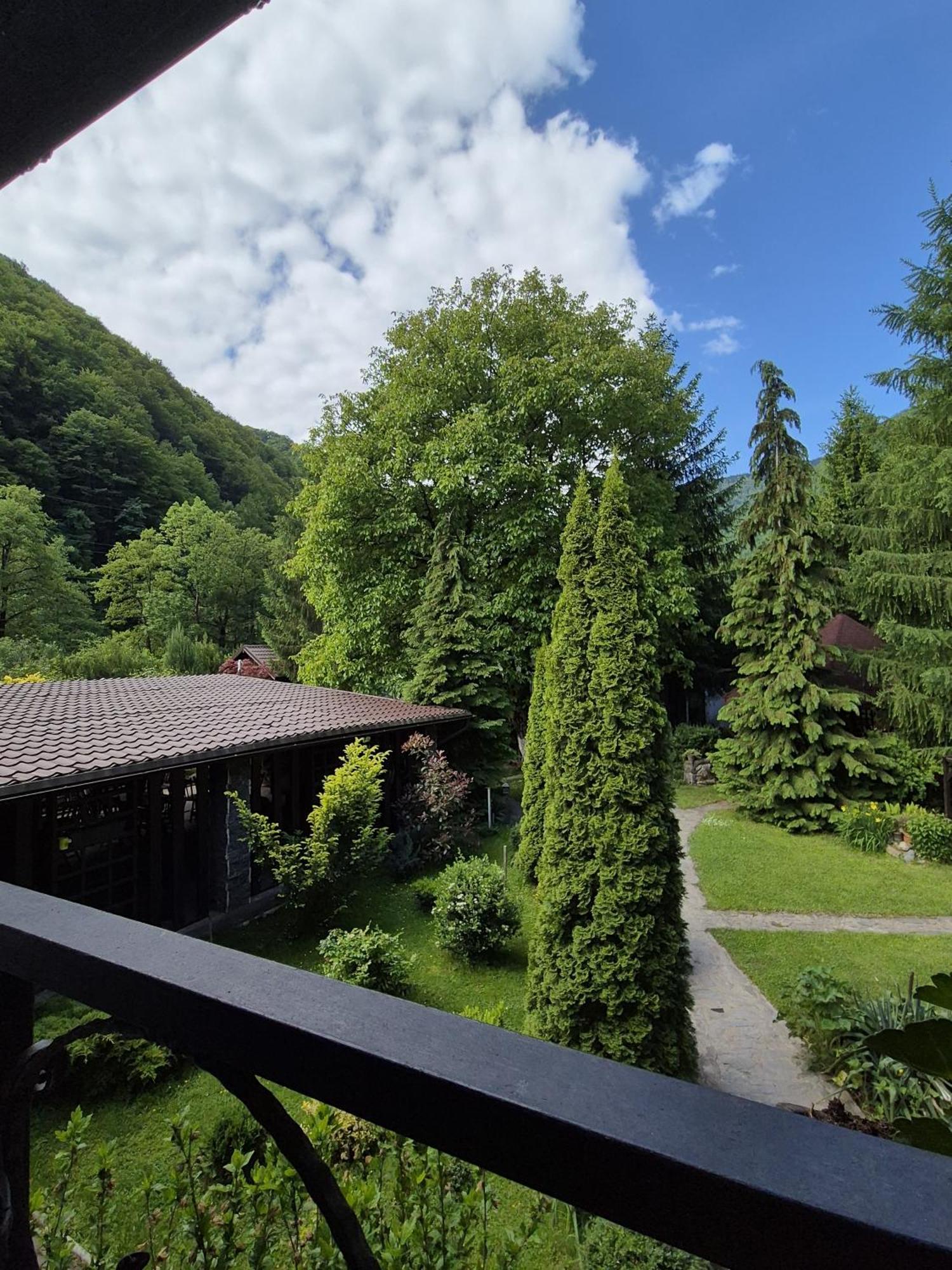 Pensiunea Dumbravita Otel Rîu de Mori Dış mekan fotoğraf