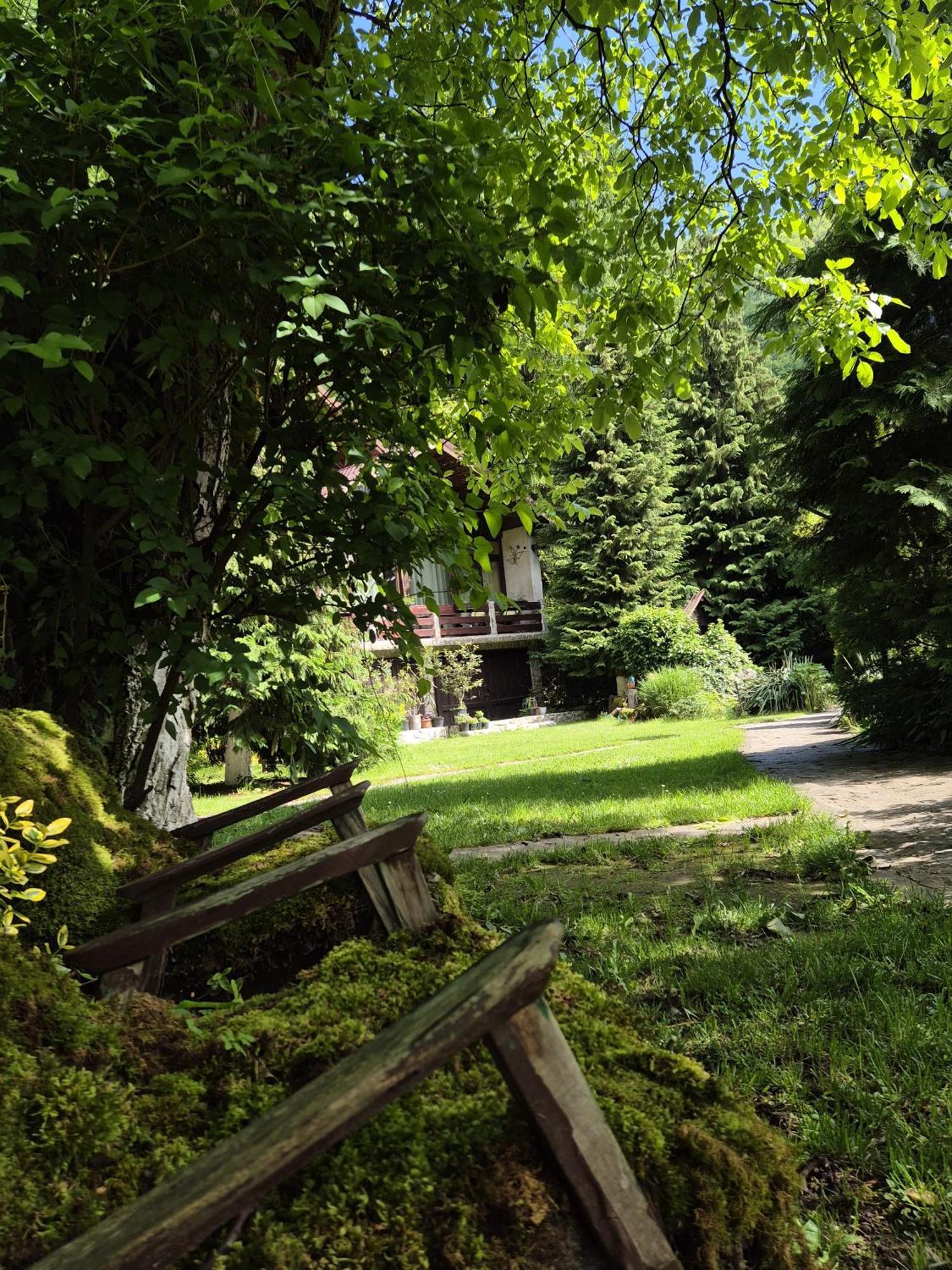 Pensiunea Dumbravita Otel Rîu de Mori Dış mekan fotoğraf