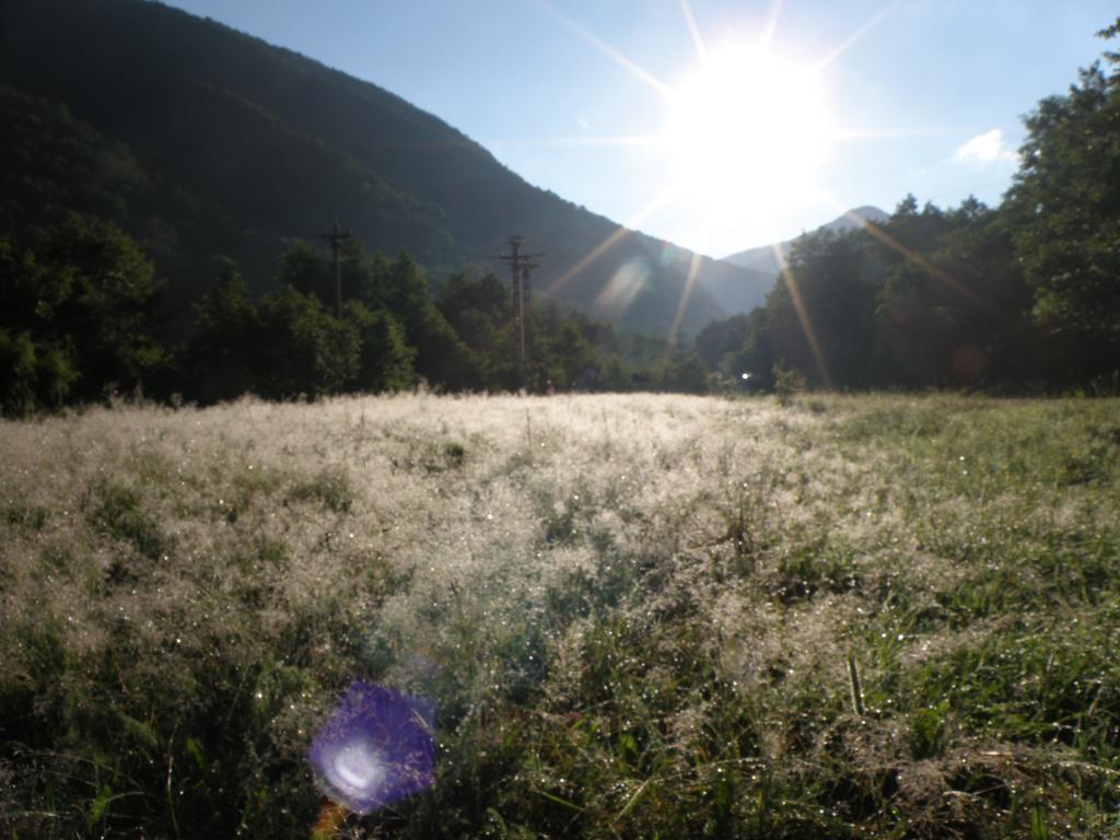Pensiunea Dumbravita Otel Rîu de Mori Dış mekan fotoğraf